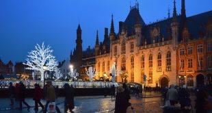 Belçika iklimi nasıldır? Belçika'nın Bitki Örtüsü
